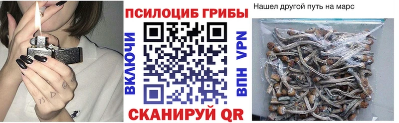 Купить где  Верхний Тагил  Галлюциногенные грибы GOLDEN TEACHER 